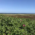 Strandgut Wackerballig