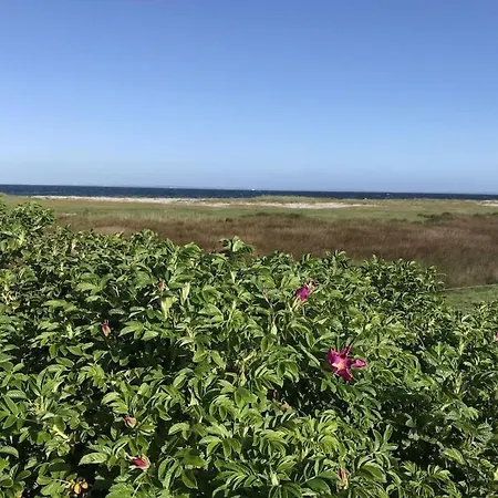 Strandgut Wackerballig