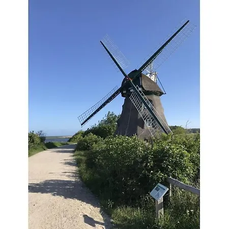 Dom wakacyjny Strandgut Wackerballig