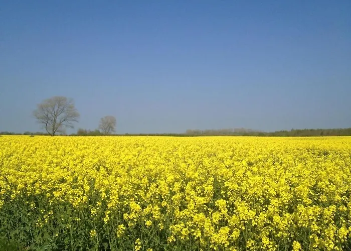 Semesterbostad Strandgut *