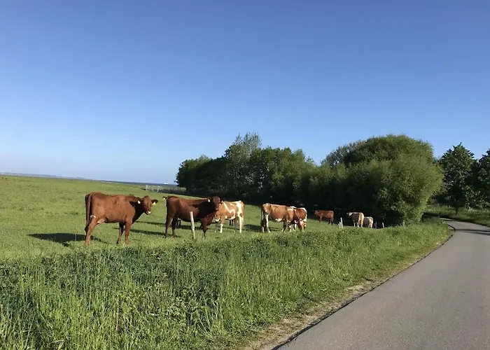 Semesterbostad Strandgut *